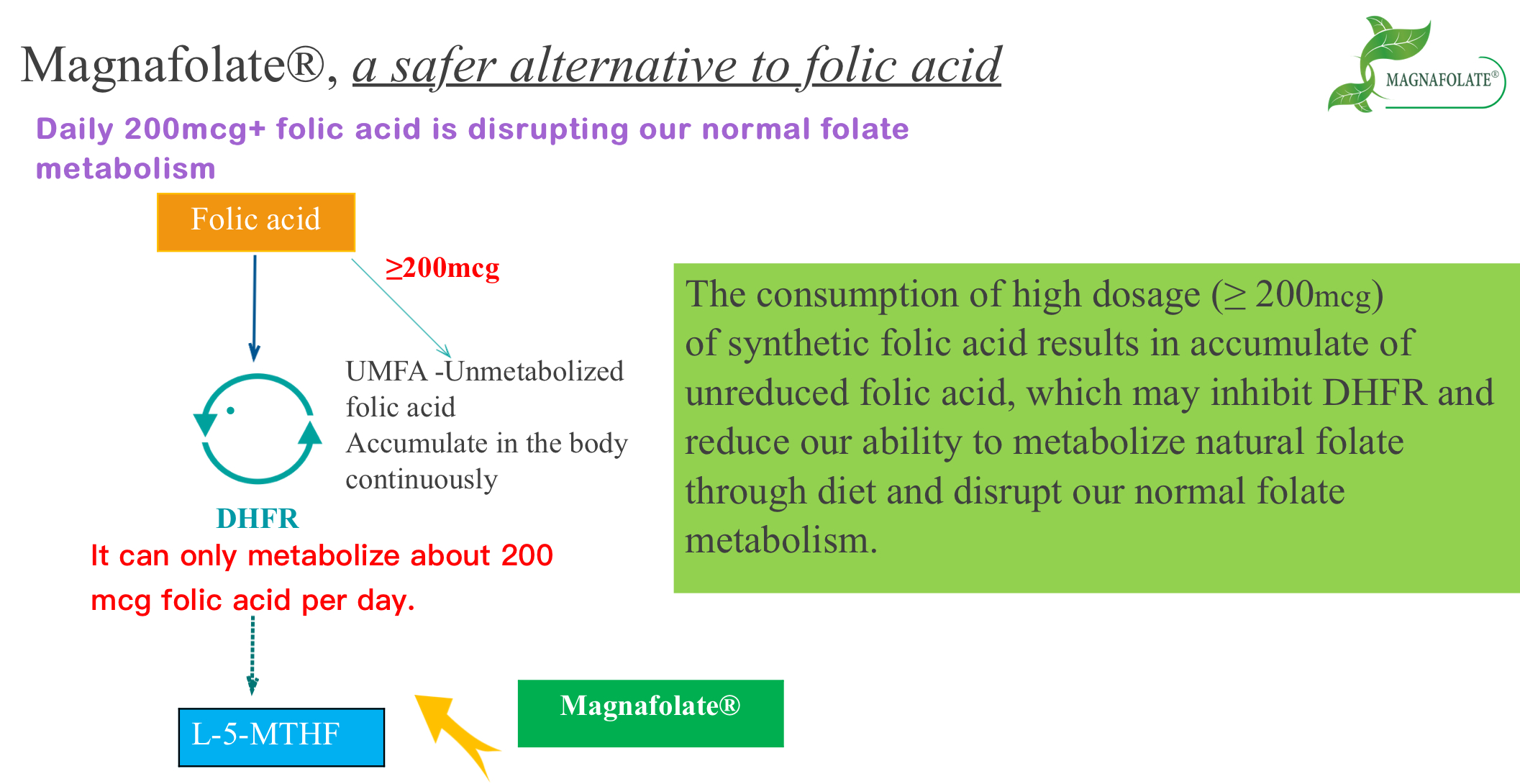 Magnafolat, eine sicherere Alternative zu Folsäure
