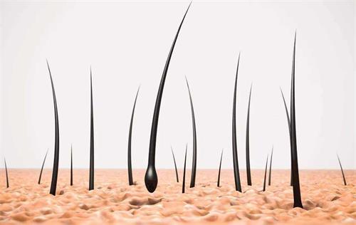 Folsäure ist gut für das Haarwachstum? Magnafolat