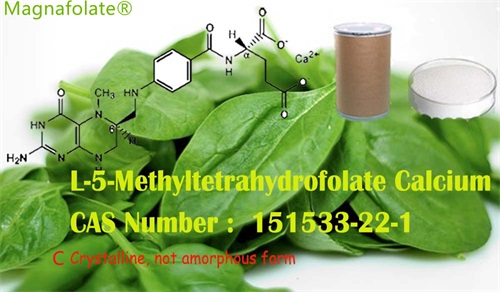 Sind L-5-Methyltetrahydrofolat und Folsäure dasselbe?