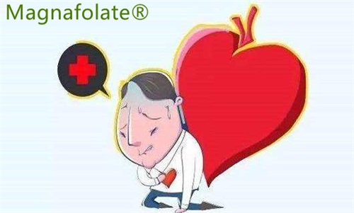 L-5-Methylfolat: Kann das Schlaganfall- und Herzinfarktrisiko verringern