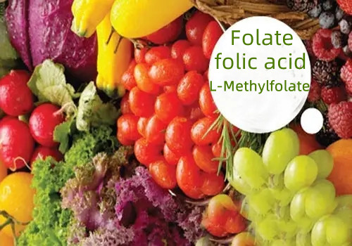 Folat (Folsäure) und L-Methylfolat