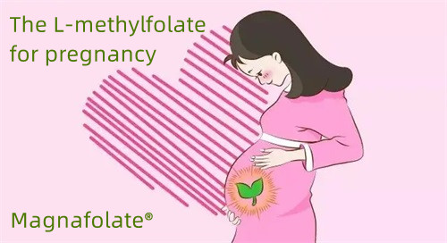 Das L-Methylfolat für Schwangere