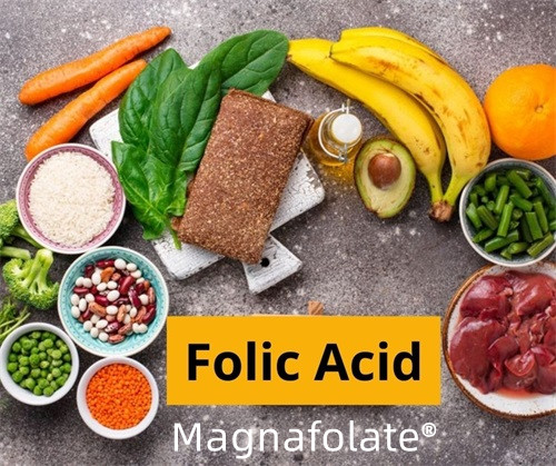 Folsäure, L-Methylfolat und Lebensmittel
