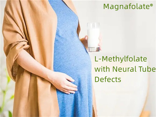 Folat, L-Methylfolat mit Neuralrohrdefekten