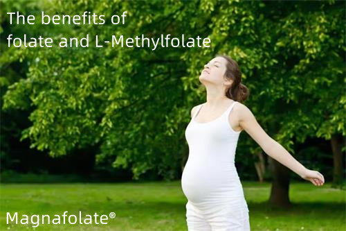 Die Vorteile von Folat und L-Methylfolat