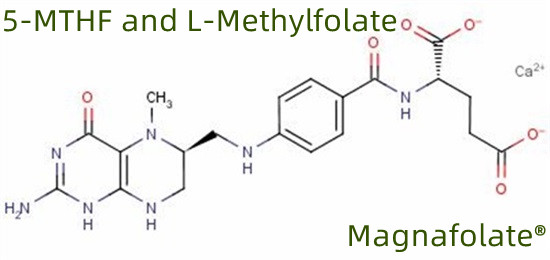5-MTHF und L-Methylfolat