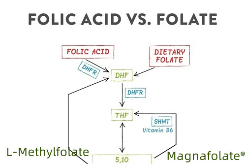 Zusammenfassung von Folat und L-Methylfolat