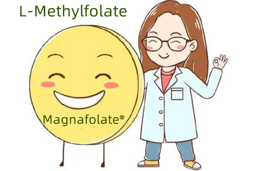Ergänzende Quelle für Folsäure und L-Methylfolat