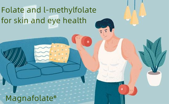 Folat und L-Methylfolat für die Gesundheit von Haut und Augen