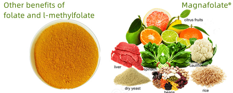 Weitere Vorteile von Folat und L-Methylfolat