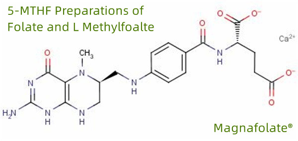 5-MTHF-Präparate aus Folat und L-Methylfoalte