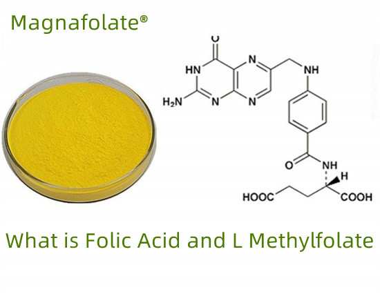 Was ist Folsäure und Methylfolat?