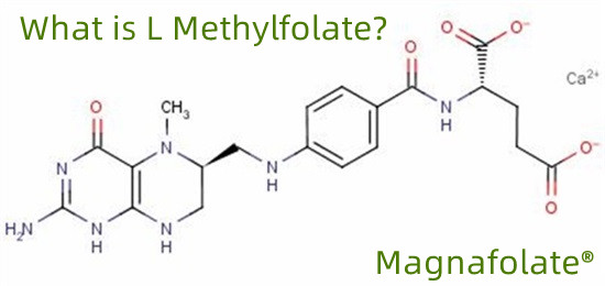 Was ist L-Methylfolat?