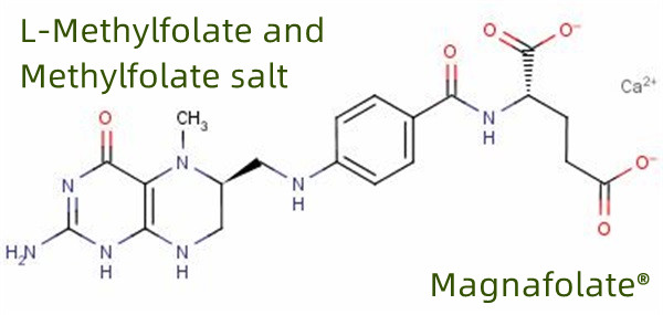 Globaler Hersteller und Lieferant von L-Methylfolat