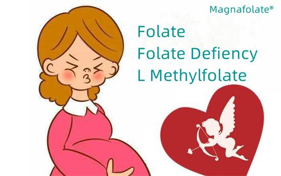 Folat und Folatmangel