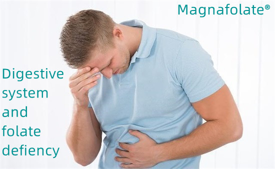 Verdauungssystem und Folatmangel – Magnafolat