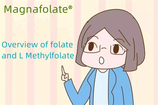Übersicht über Folat und L-Methylfolat