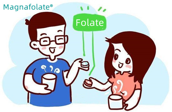 Wie viel Folat benötige ich?