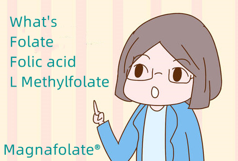 Was ist Folat und Folsäure und L-Methylfolat?
