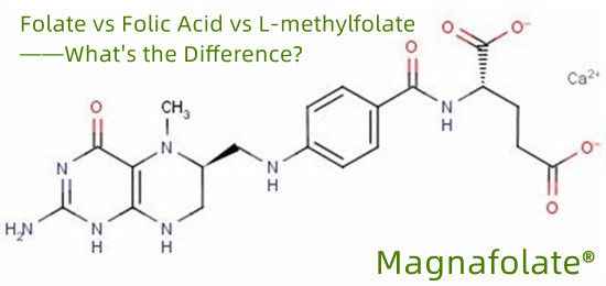 Folat vs. Folsäure vs. L-Methylfolat – Was ist der Unterschied?