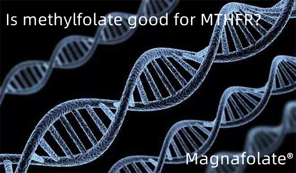 Ist Methylfolat gut für MTHFR?