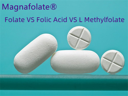 Folsäure vs. Folat: Was ist besser?