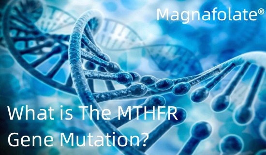 Was ist die MTHFR-Genmutation?
