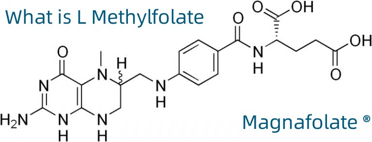 Was ist L-Methylfolat?