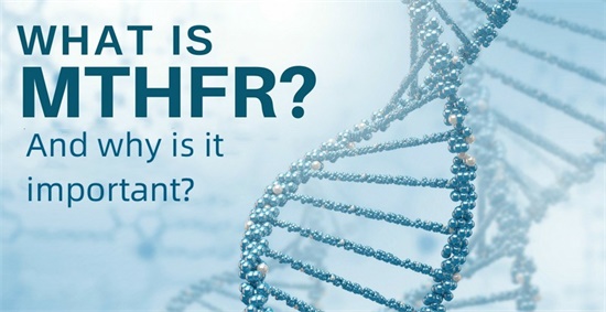 Was ist MTHFR und warum ist es wichtig?
