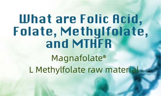 Was sind Folsäure, Folat, Methylfolat und MTHFR?