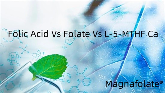 Folsäure vs. Folat vs. L-5-MTHF Ca