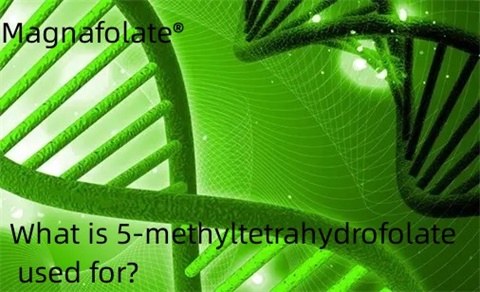 Wofür wird 5-Methyltetrahydrofolat verwendet?