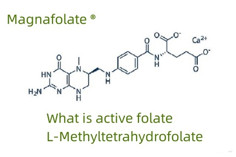 Was ist aktives Folat und L-Methyltetrahydrofolat?