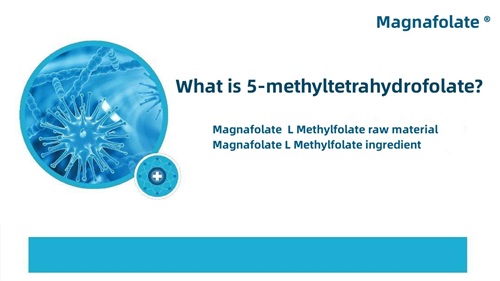 Was ist 5-Methyltetrahydrofolat?