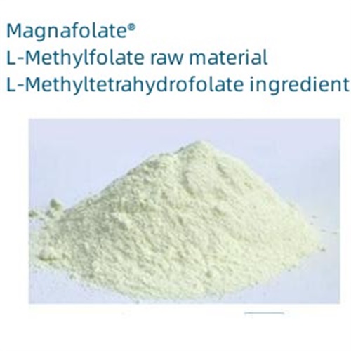 Wichtige Parameter und Einführung von Calcium-L-5-methylfolat