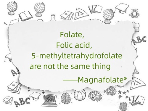 Folat, Folsäure und 5-Methyltetrahydrofolat sind nicht dasselbe