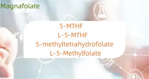 Was ist der Unterschied zwischen 5-Methyltetrahydrofolat und Folsäure?