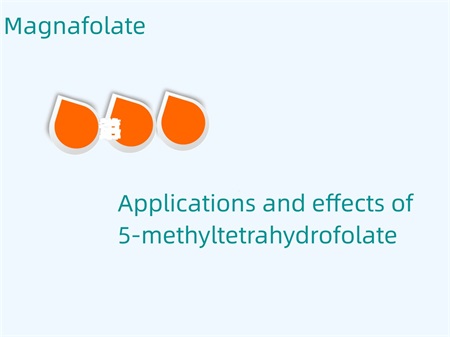 Anwendungen und Wirkungen von 5-Methyltetrahydrofolat
