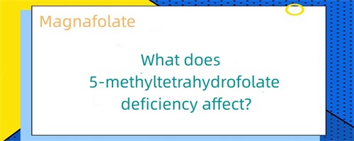 Welche Auswirkungen hat ein 5-Methyltetrahydrofolat-Mangel?
