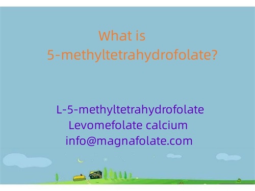 Was ist 5-Methyltetrahydrofolat?