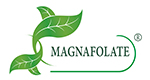 Magnafolat® VS Folsäure