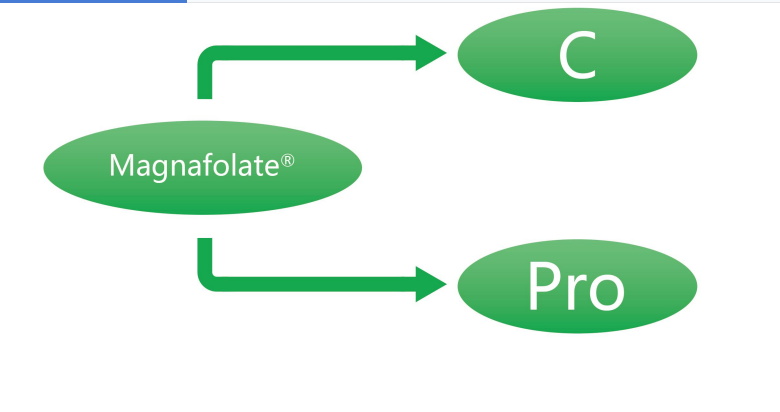 Magnafolat C und Pro-L-Methylfolat-Calcium