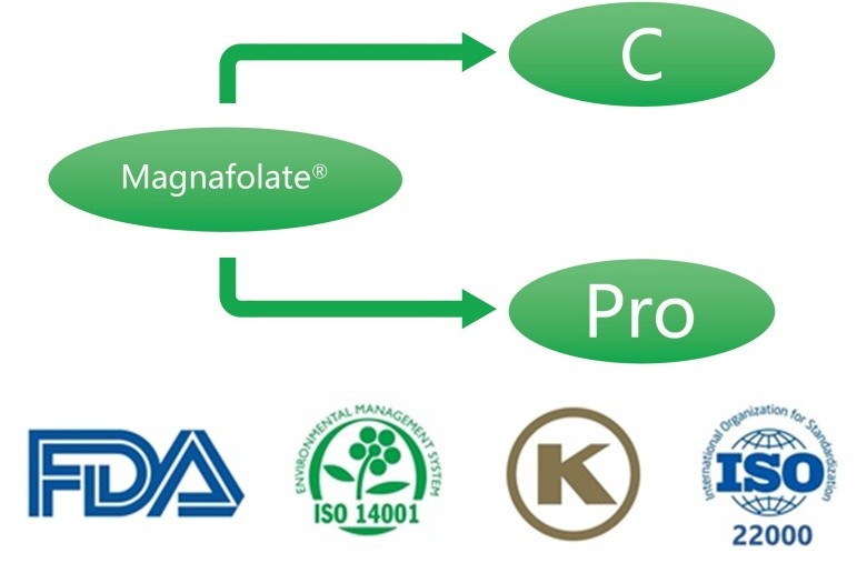 Was ist Calcium-L-5-methyltetrahydrofolat? Was sind die Lieferanten?