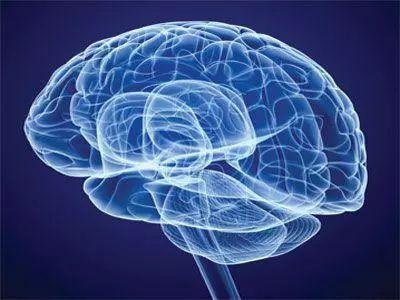 Folat schützt das Nervensystem und beugt Demenz und Parkinson vor