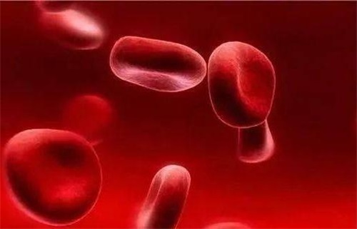 Warum Folatmangel Probleme mit dem Immunsystem verursacht