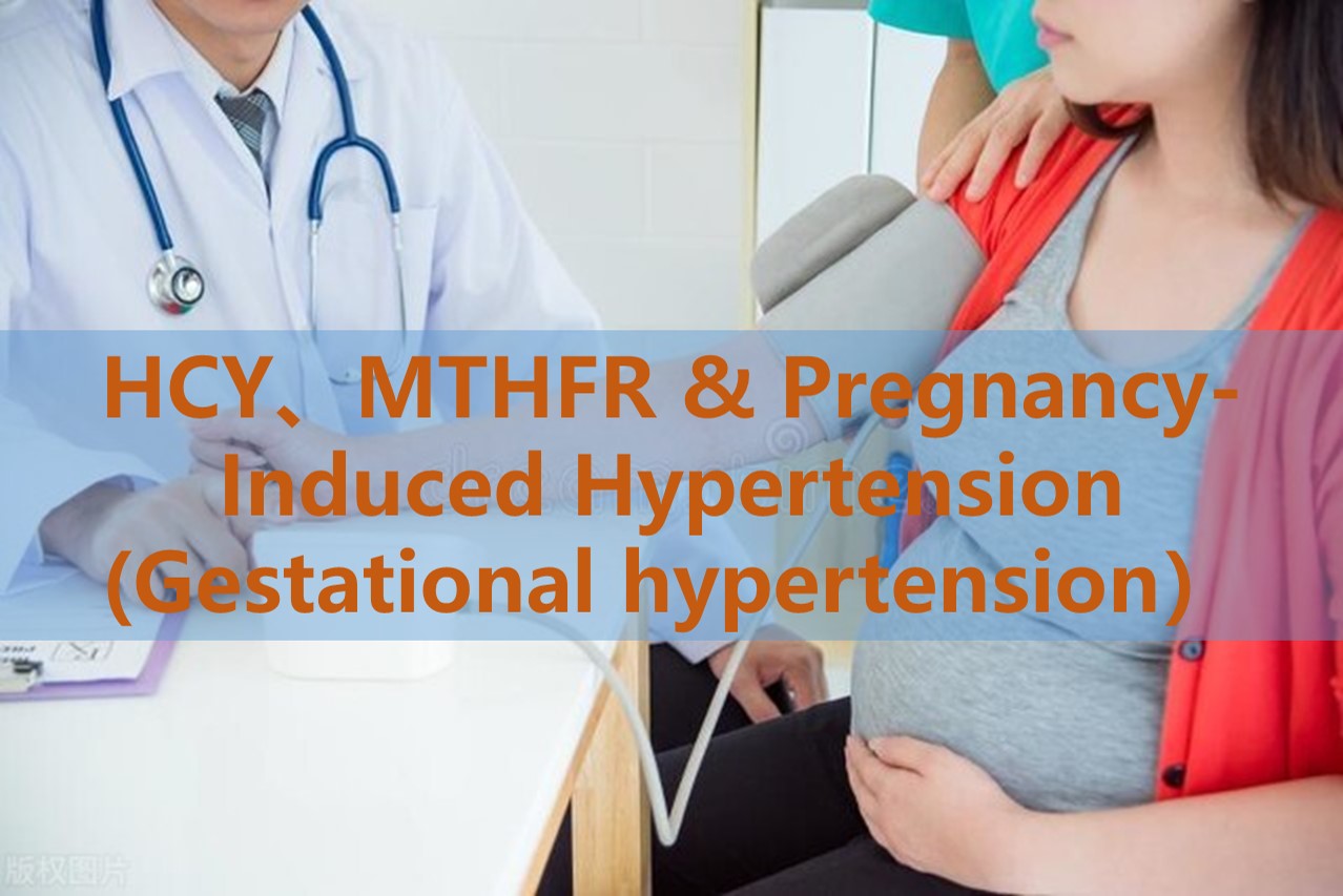 Folatgänzung und schwangerschaftsinduzierte Hypertonie (Schwangerschaftshypertonie): Die Rolle der Homocysteinspiegel und der genetischen MTHFR-Polymorphismen