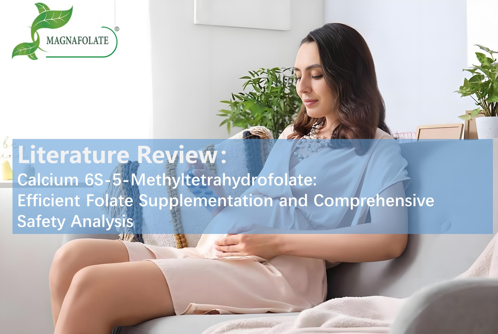 Literaturübersicht: Calcium 6S-5-Methyltetrahydrofolat: Effiziente Folatgänzung und umfassende Sicherheitsanalyse