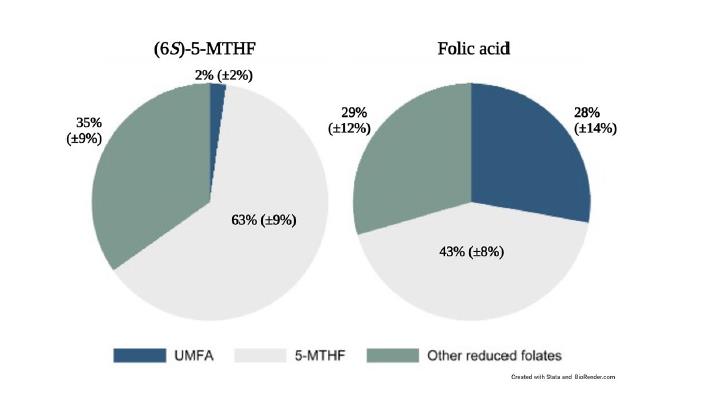 Vorsicht! Eine Studie in Scientific Reports bestätigt, dass bei stillenden Frauen, die Folsäure zu sich nehmen, 28 % des Folats in ihrer Milch unbrauchbare, nicht verstoffwechselte Folsäure (UMFA) ist – 14-mal mehr als bei Müttern, die die bioaktive Form einnehmen.